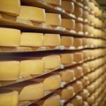 Terungkap! Konsumsi Keju Tinggi Lemak Disebut Bisa Turunkan Risiko Demensia