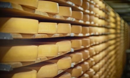 Terungkap! Konsumsi Keju Tinggi Lemak Disebut Bisa Turunkan Risiko Demensia