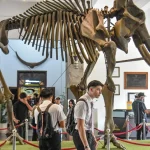 Tak Disangka! Museum Nasional Indonesia Dibanjiri Ratusan Ribu Pengunjung