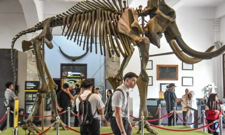 Tak Disangka! Museum Nasional Indonesia Dibanjiri Ratusan Ribu Pengunjung