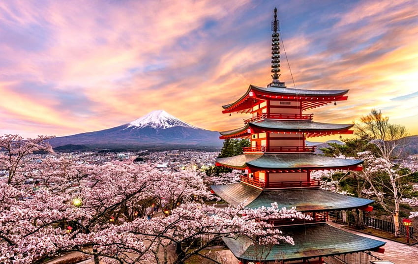 Musim Dingin Jepang: Mengapa Suhu Hokkaido dan Okinawa Sangat Berbeda?