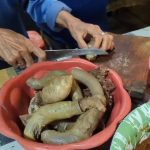 Fenomena Kuliner Soto Kontol Sapi di Pekalongan