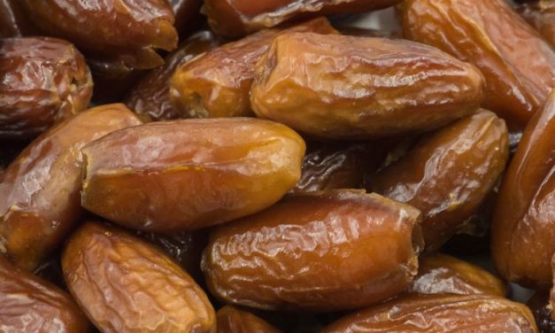 Tak Hanya Manis, Ragam Kurma Ini Menyimpan Kandungan Gizi Tinggi