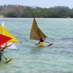 Spektakuler! 500 Lebih Peserta Ramaikan Balap Perahu Jong di Kepulauan Riau