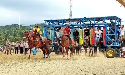 Arena Pacu Kuda Sumba Barat Resmi Jadi Venue PON 2028