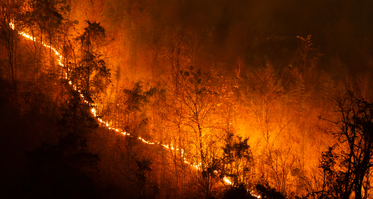 Gelombang Panas Eropa Picu Kebakaran Hutan Besar di Spanyol dan Perancis, Puluhan Ribu Warga Dievakuasi