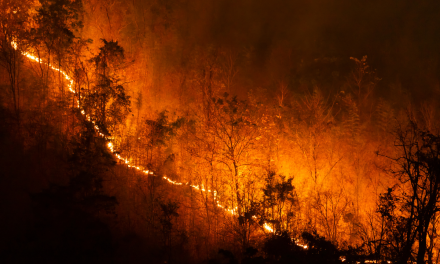 Gelombang Panas Eropa Picu Kebakaran Hutan Besar di Spanyol dan Perancis, Puluhan Ribu Warga Dievakuasi