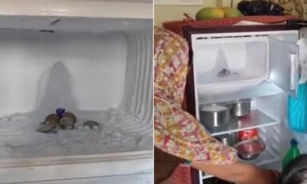 Gumpalan Es Mirip Shivling di Agra Mengundang Kedatangan Banyak Peziarah