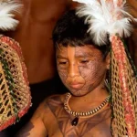 Tradisi Semut Peluru Suku Sateré-Mawé Uji Keberanian Remaja Amazon