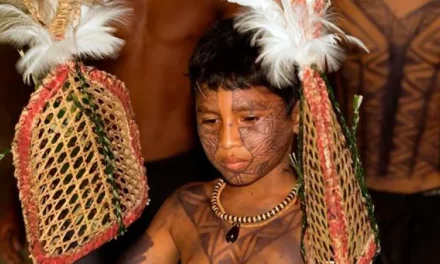 Tradisi Semut Peluru Suku Sateré-Mawé Uji Keberanian Remaja Amazon