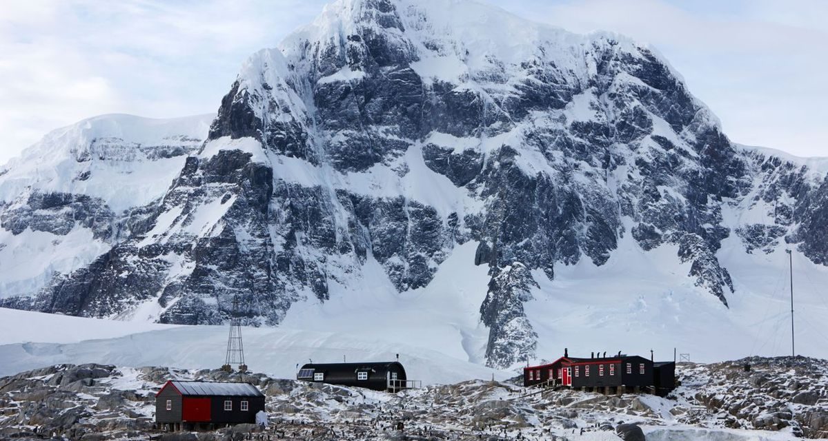 Port Lockroy, Kantor Pos Terpencil di Antarktika yang Bertetangga dengan Ratusan Penguin