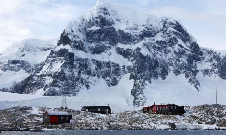 Port Lockroy, Kantor Pos Terpencil di Antarktika yang Bertetangga dengan Ratusan Penguin